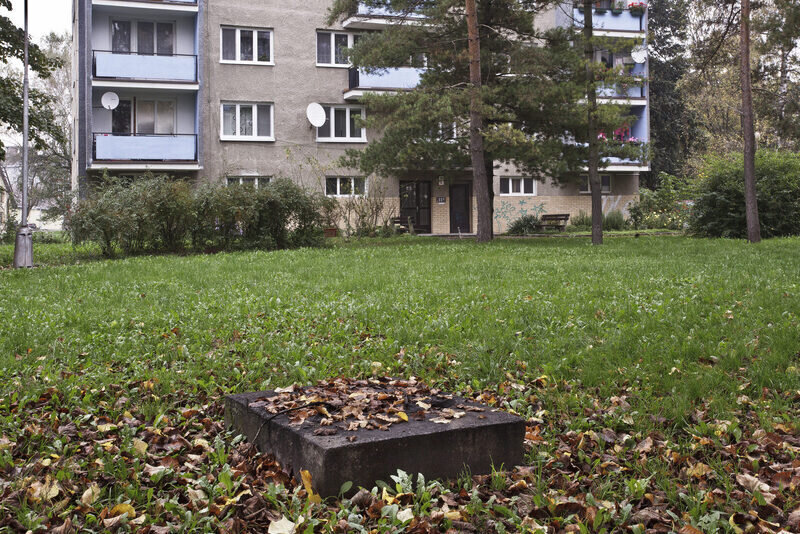 Dievčina